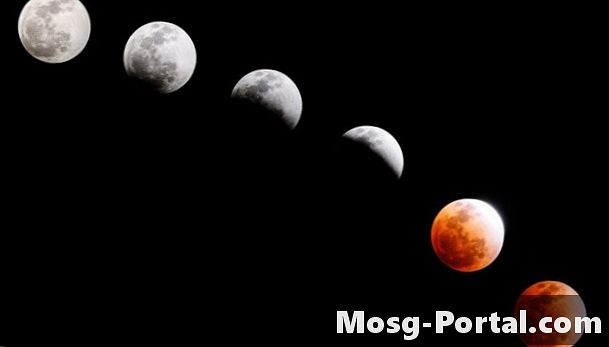 4 cose strane che probabilmente non sapevi su un'eclissi lunare