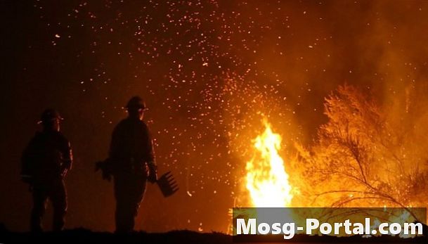 Menghancurkan Mitos Terbesar Presiden Tentang Kebakaran Hutan California
