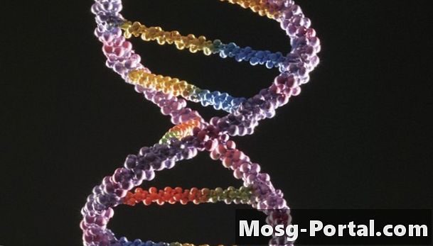 Ποιοι μηχανισμοί εξασφαλίζουν την ακρίβεια της αναπαραγωγής του DNA;