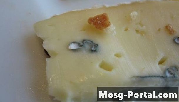 Experimente de mucegai cu brânză