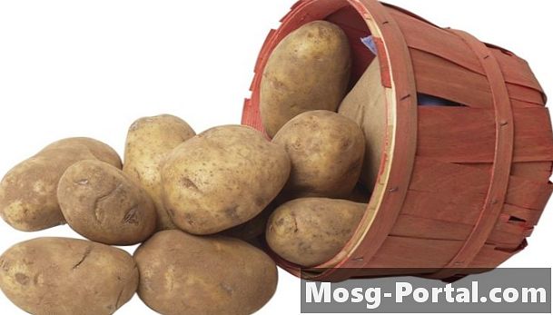 Inhalt der Kartoffel, die Strom leiten kann