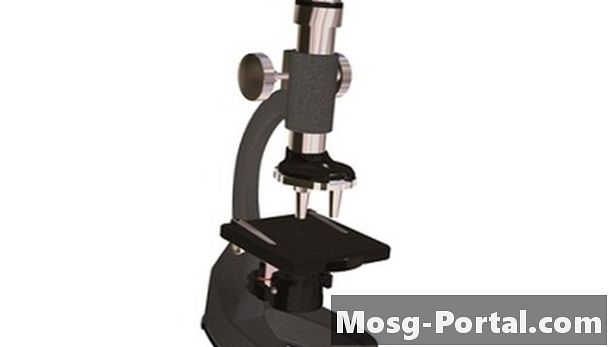 Importanța microscopelor compuse