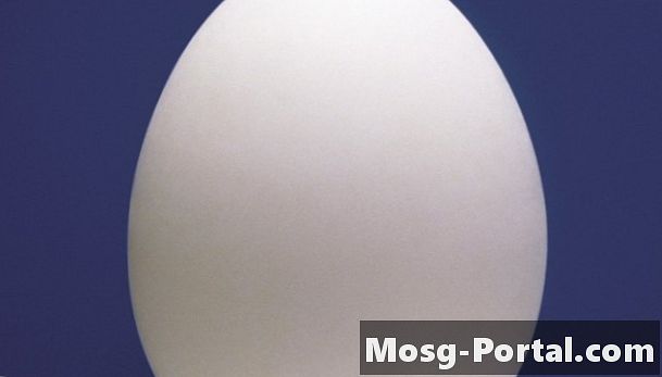 Por que a casca de um ovo se dissolve quando colocada em vinagre?