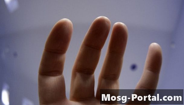 Description de l'anatomie d'un doigt humain