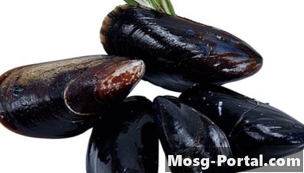 Sự khác biệt giữa Mussels & Ba lô