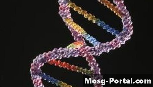 Razlika med mutacijo in genetskim nanosom