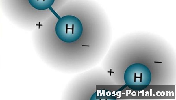 Differenze nelle proprietà di alogeni e idrogeno