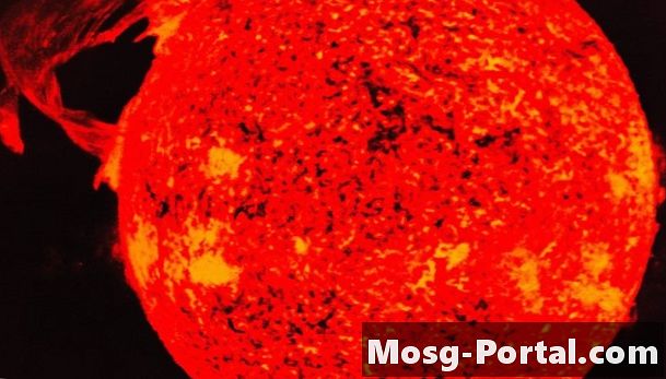 Adakah Magnetosfer Bumi Melindungi Kami Dari Angin Suria Matahari?