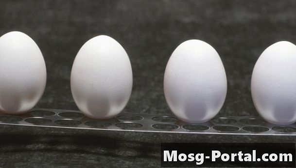 Experiências de osmose de ovos com água destilada e água salgada