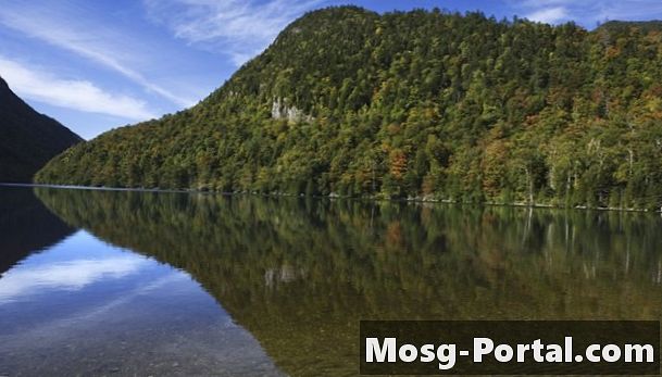 Probleme de mediu în lacurile munților Adirondack