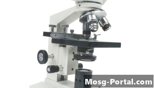 Cara Meningkatkan Resolusi pada Mikroskop