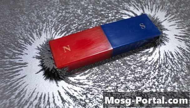 Kako delujejo magnetna polja?