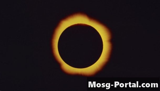 一般的な種類のEclipseはいくつありますか？