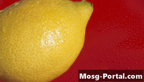 Cara Membangun Baterai Lemon Sederhana