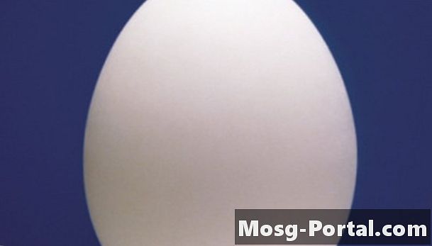 Varför krymper ett ägg i olika lösningar?