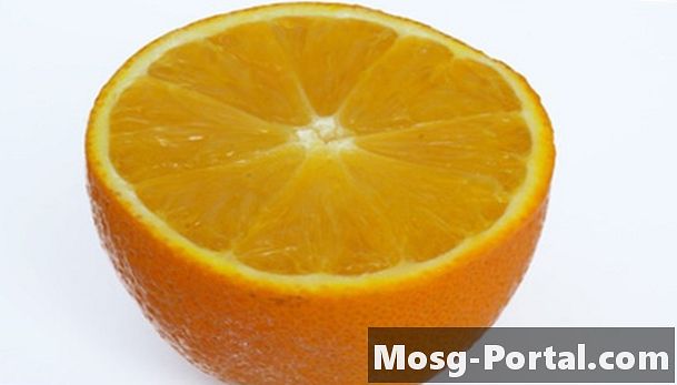 כיצד להאכיל תפוזים לציפורי בר