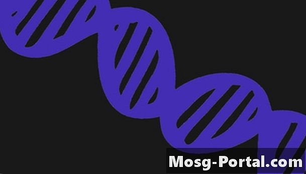 Hvordan lage DNA-modeller ved hjelp av papir