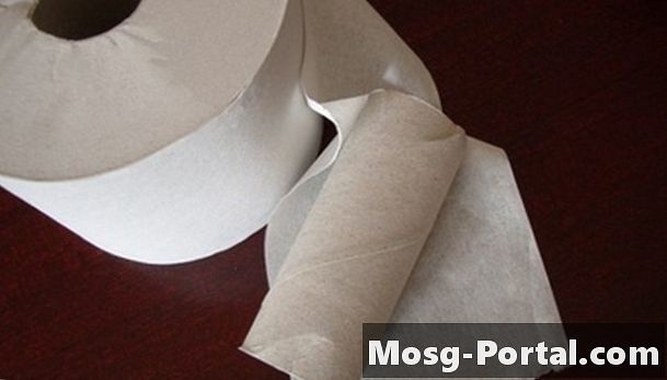 Wie man Periskope mit Toilettenpapierrollen herstellt