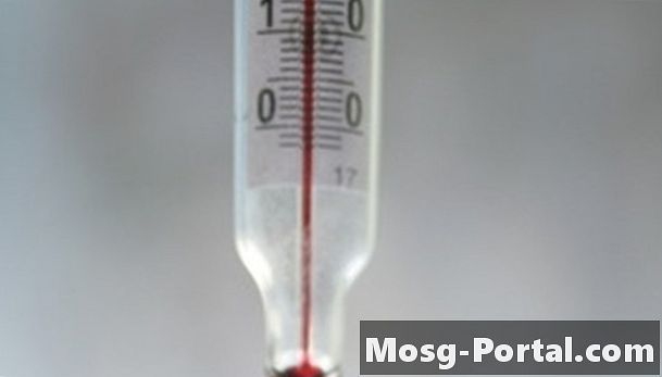 Kako izmeriti optimalno temperaturo za encim