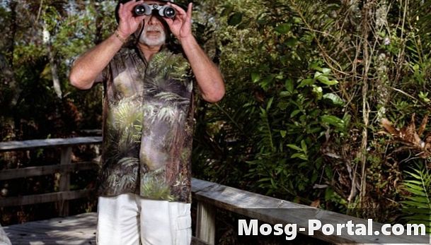 Mänsklig effekt på Florida Keys ekosystem