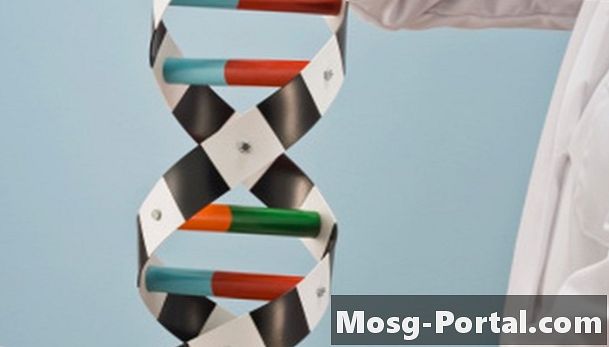 Ideer for å lage et 3D-stand for DNA for High School