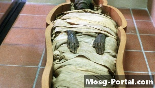 В Древен Египет какво поставиха в стомаха на мумията?
