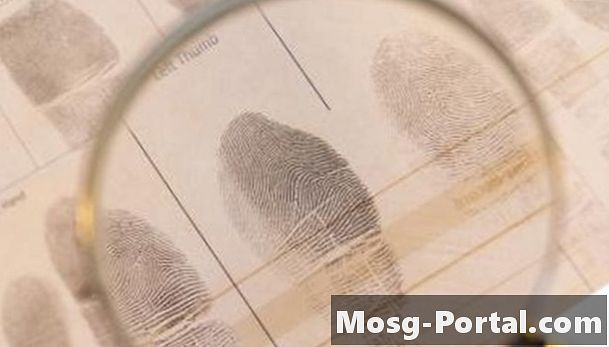 Ενδιαφέροντα γεγονότα για το DNA Fingerprinting