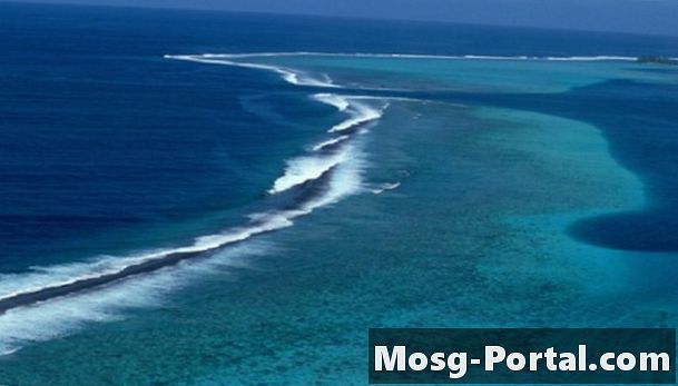 Características de la tierra en el bioma marino de agua dulce
