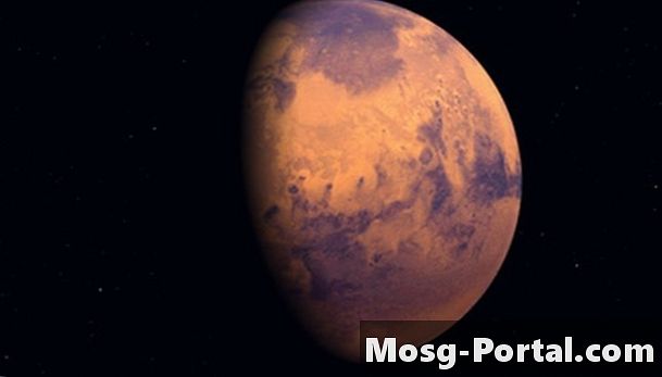 Marsi teadusprojekti ideed - Teadus