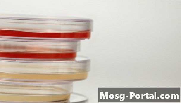 La composición química del agar nutriente
