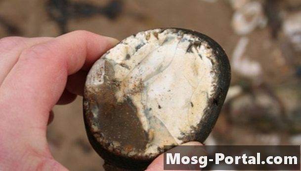 A Flint-koppáláshoz használt Missouri kő különféle fajtái