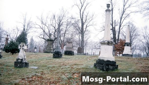 Účinky kyslého dažďa na cintorínske kamene