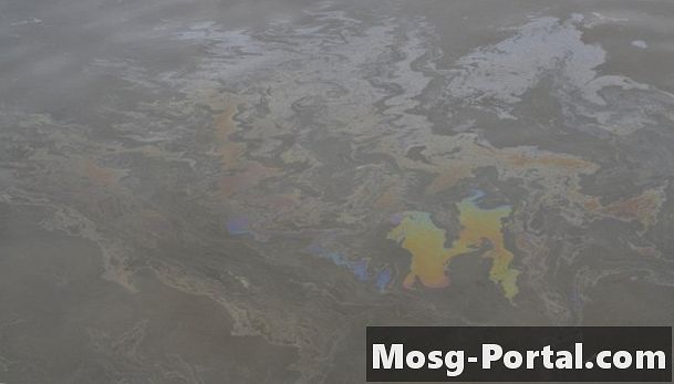 آثار تلوث النفط على النظم البيئية المائية