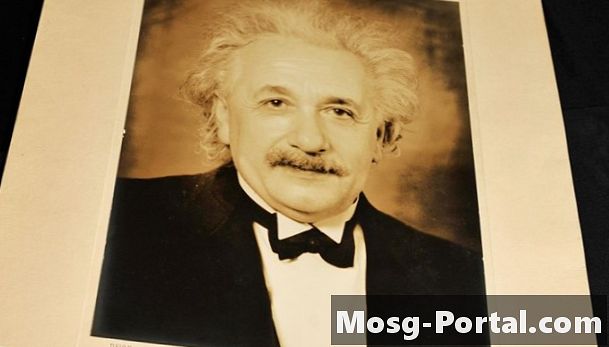 Den berømte fysiker, der opdagede fotoner