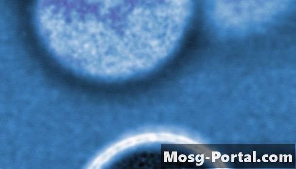 Что такое градиенты концентрации в микробиологии?