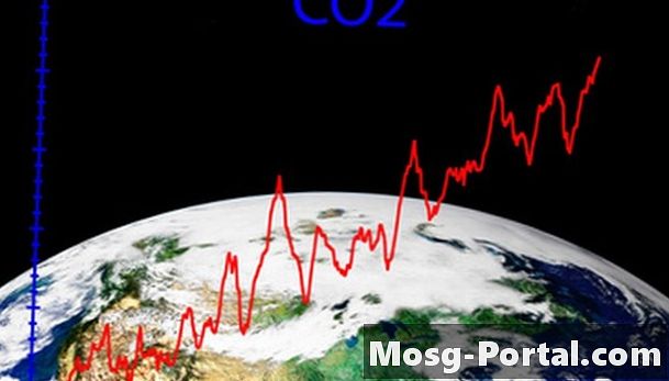 Care sunt pericolele de gaz CO2?