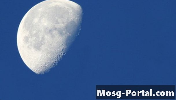 Tám giai đoạn của mặt trăng theo thứ tự là gì?