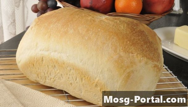 곰팡이 빵 실험에 대한 독립 변수는 무엇입니까?