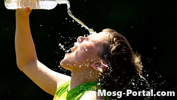 Каква критична роля играе водата при хомеостаза?