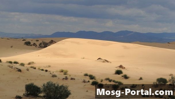 Jaka jest średnia roczna suma opadów na Saharze?