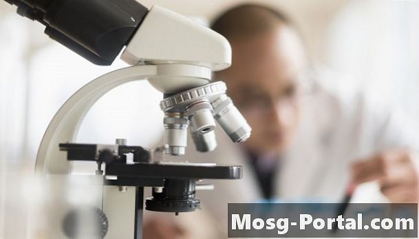 मैग्निफाइंग ग्लास और कंपाउंड लाइट माइक्रोस्कोप के बीच अंतर क्या है?
