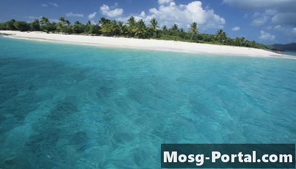 Aký je rozdiel medzi miernym a tropickým oceánom?