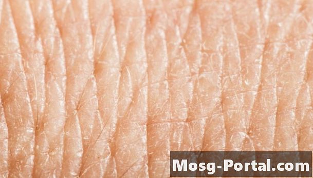 ¿Cuál es la vida útil de las células de la piel?